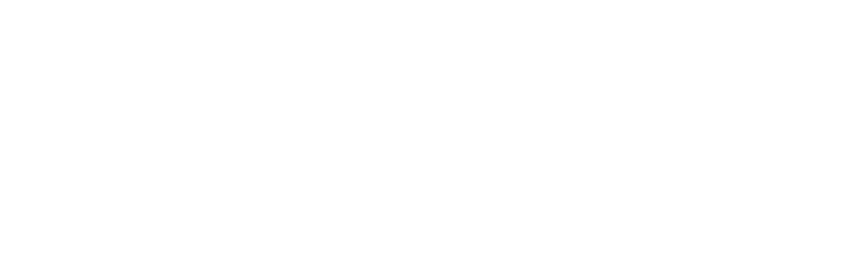 Business Visibility Pros